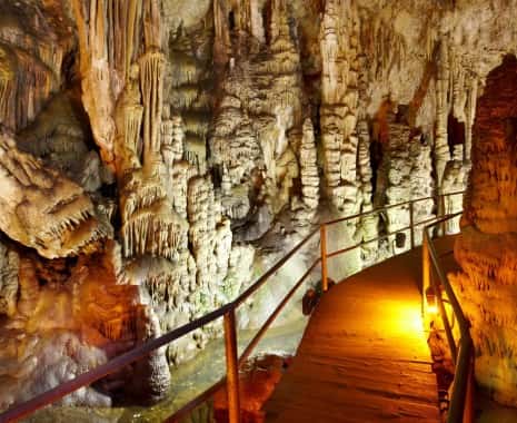 Knossos Palace & Lasithi Plateau: Zeus Cave, Vidiani Monastery, Krassi Village, Olive Mill Farm & Knossos