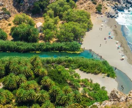 Full Day Tour to Preveli Palm Beach, Damnioni Beach & Rethymno Town